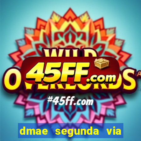 dmae segunda via porto alegre